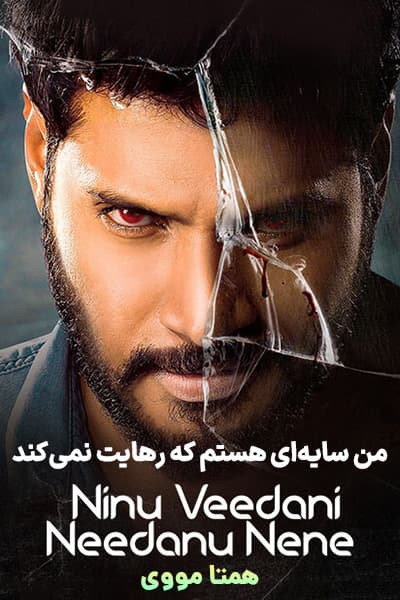 دانلود فیلم من سایه ای هستم که رهایت نمی کند دوبله فارسی Ninu Veedani Needanu Nene 2019